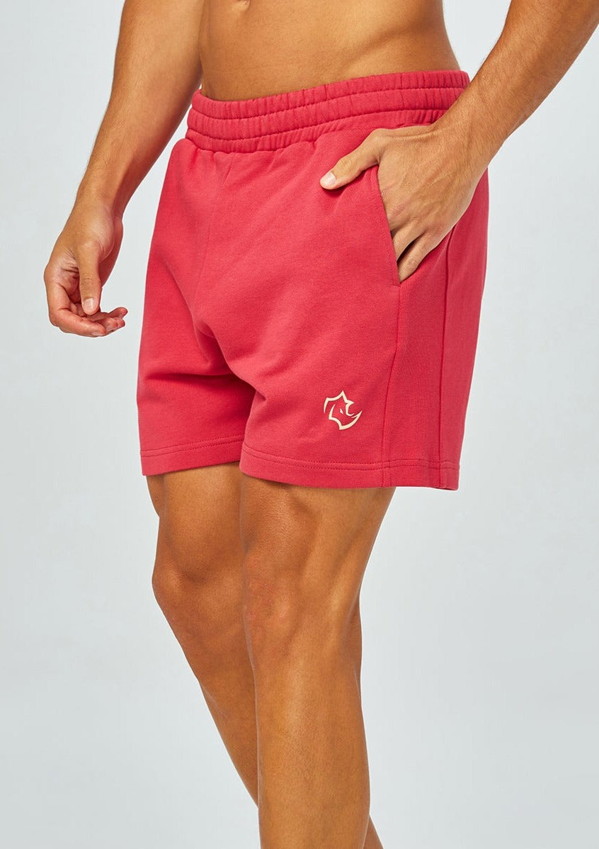 shapewreck Shorts PRIMARY SHORTS