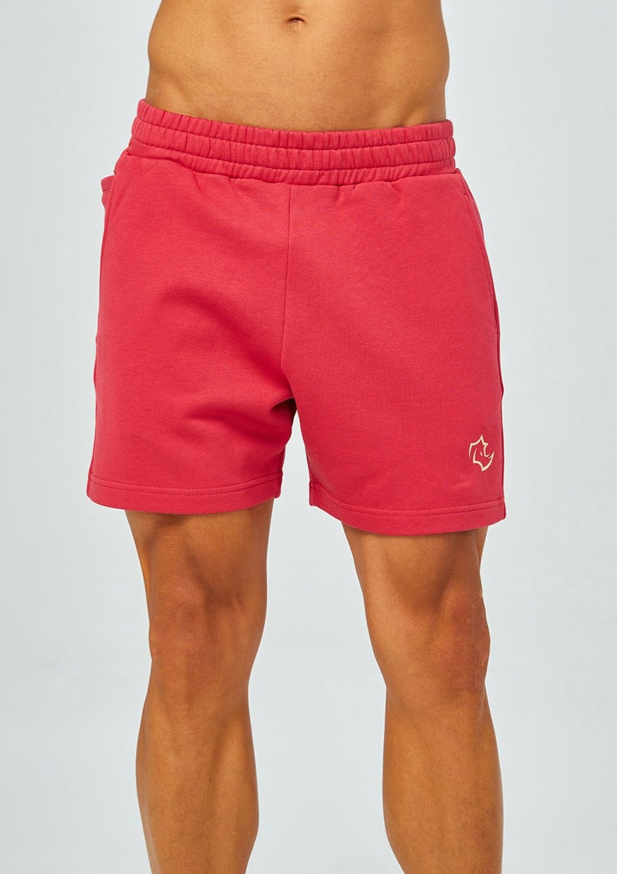 shapewreck Shorts PRIMARY SHORTS